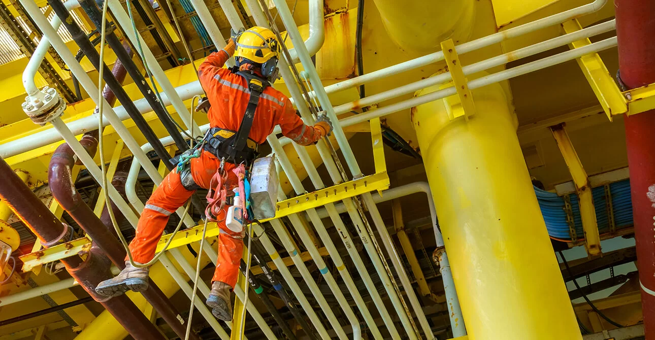 gida sektorune ozel yuksekte calisma egitimi